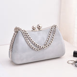 Chain Handbags Fashion Luxury Dress Party Dinner Bags For Women Crossbody Shoulder Bag