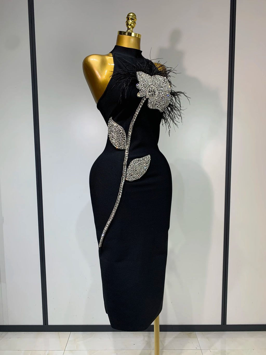 Regal Woman Dress