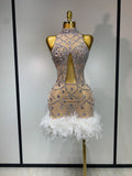Luxury Diamonds Feather Mesh Mini Dress
