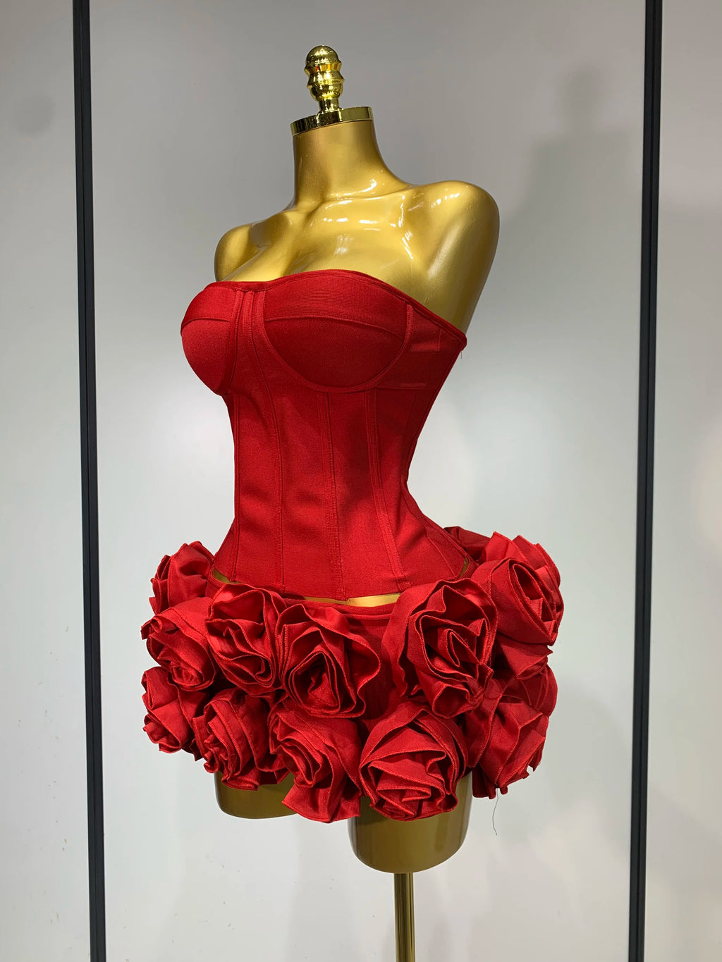 Rose Corset Two Piece Skirt Set
