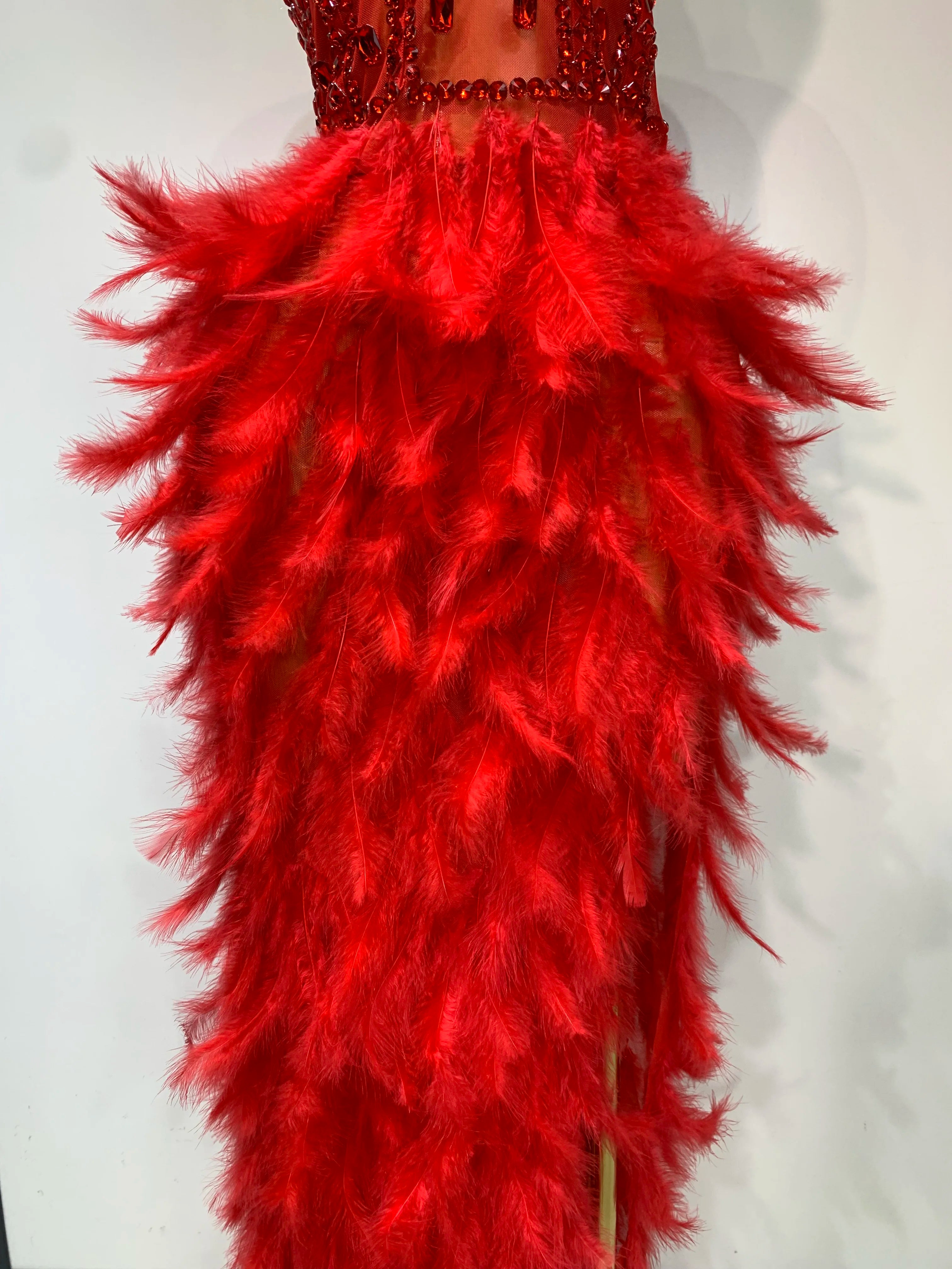 Sparkly Rhinestone Feather Mesh Dress