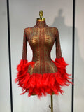 Sexy Flamingo Mesh Feathers Dress