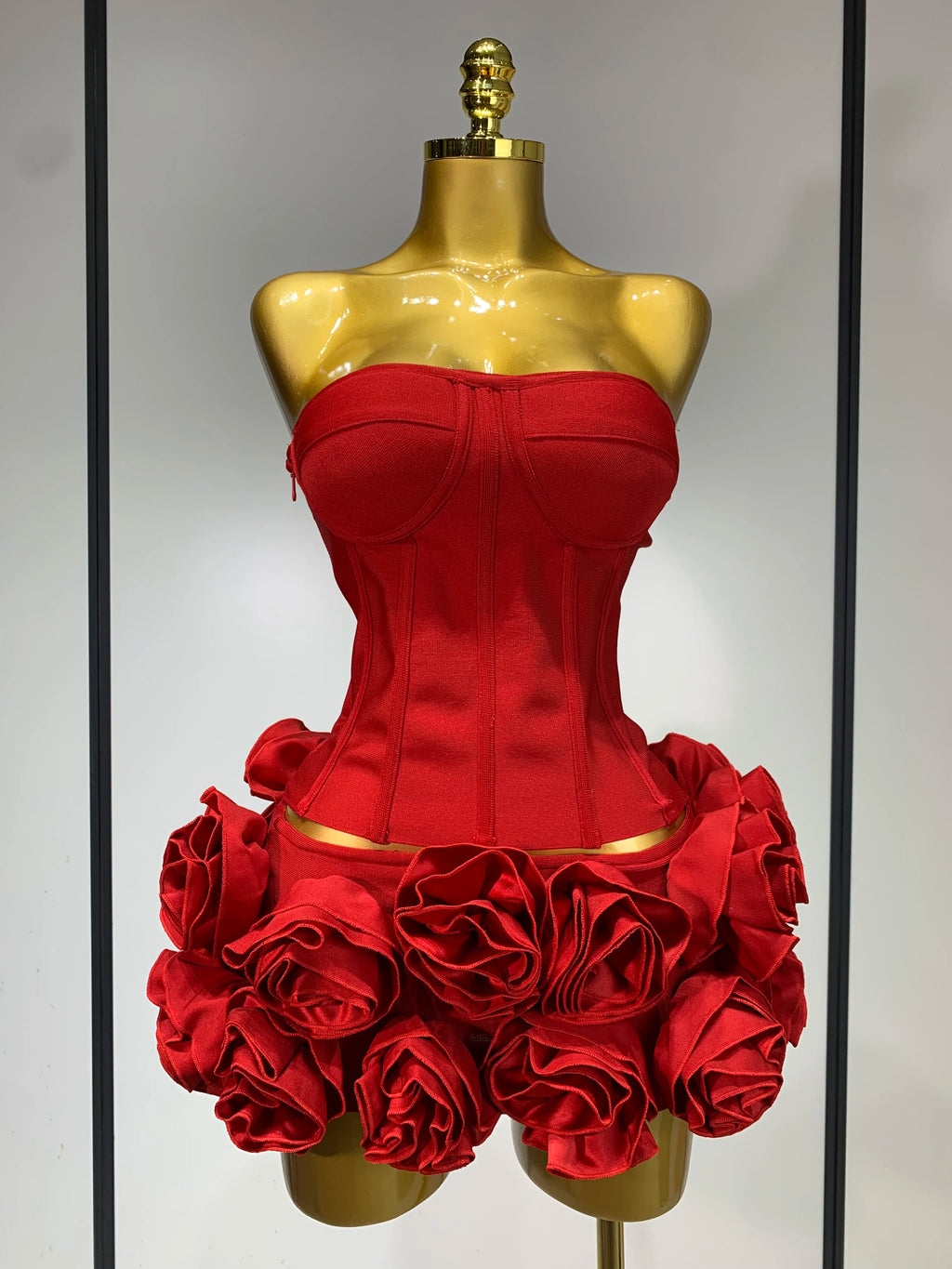 Rose Corset Two Piece Skirt Set