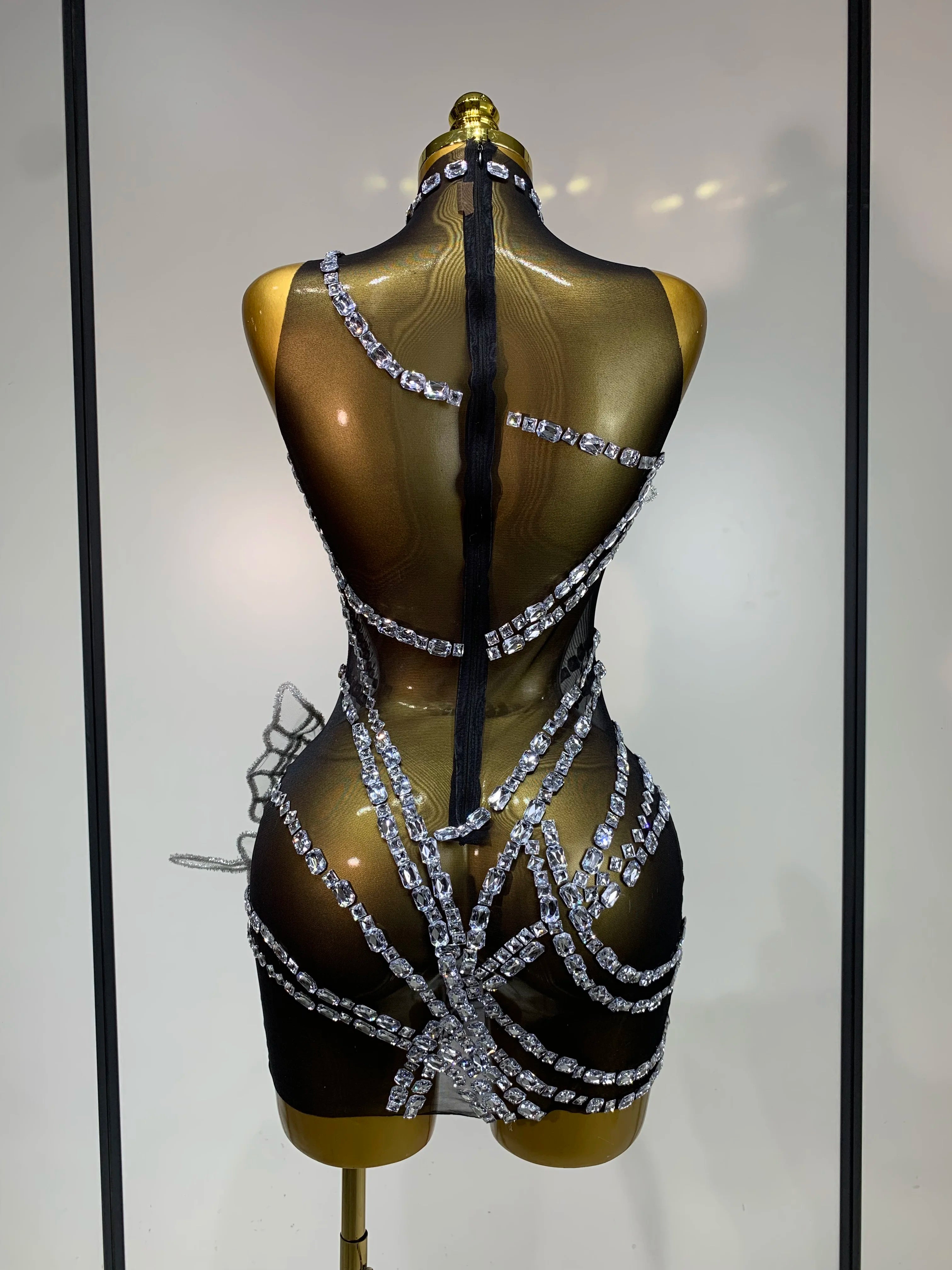 Butterfly Mesh Mini Dress