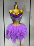 Purple  Two Pieces Skirt Set