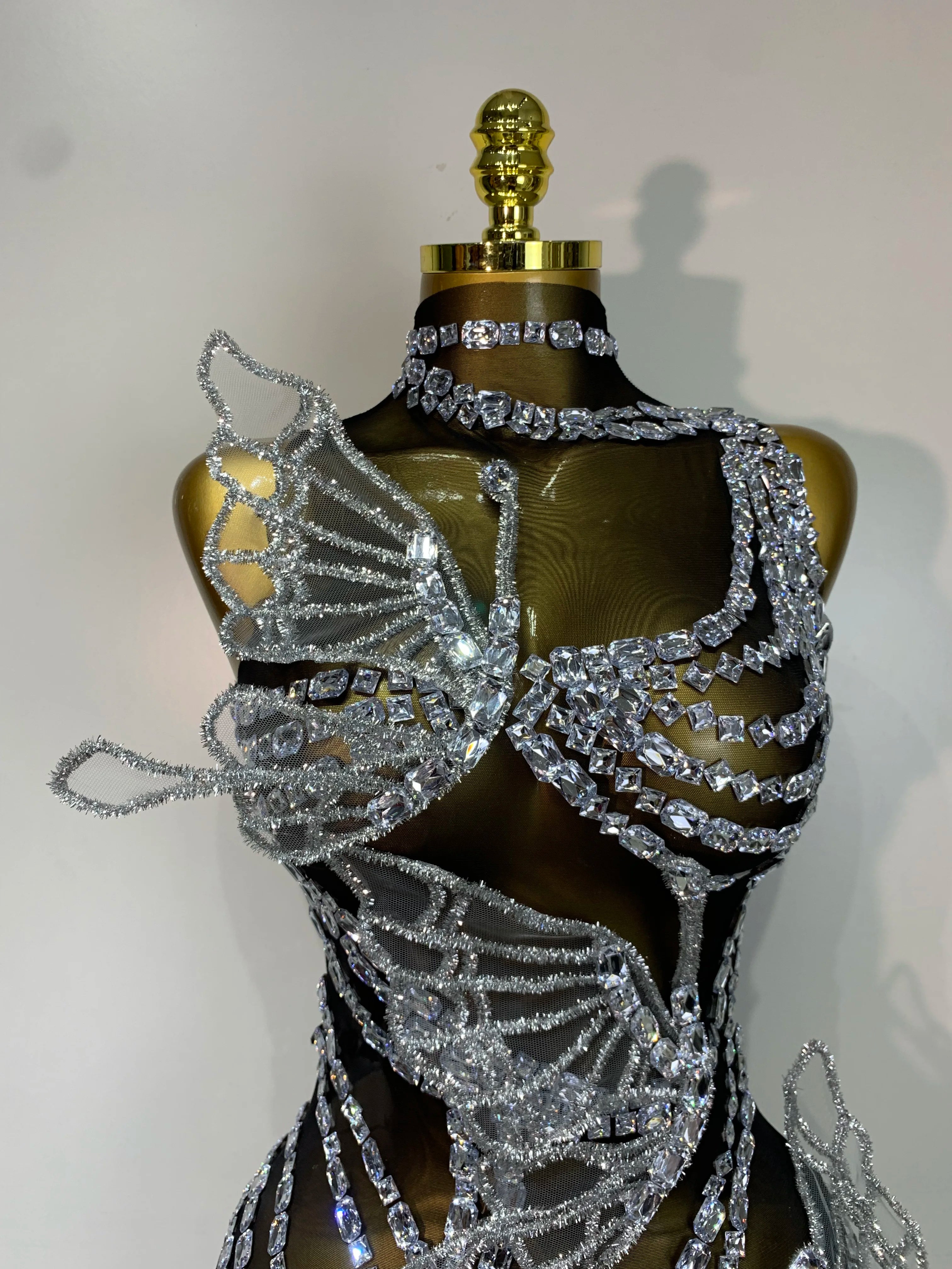 Butterfly Mesh Mini Dress