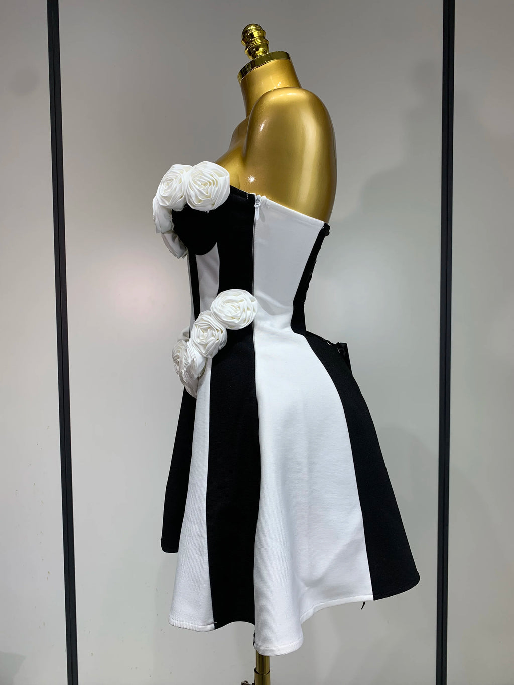 Frankenstein’s Bride Dress