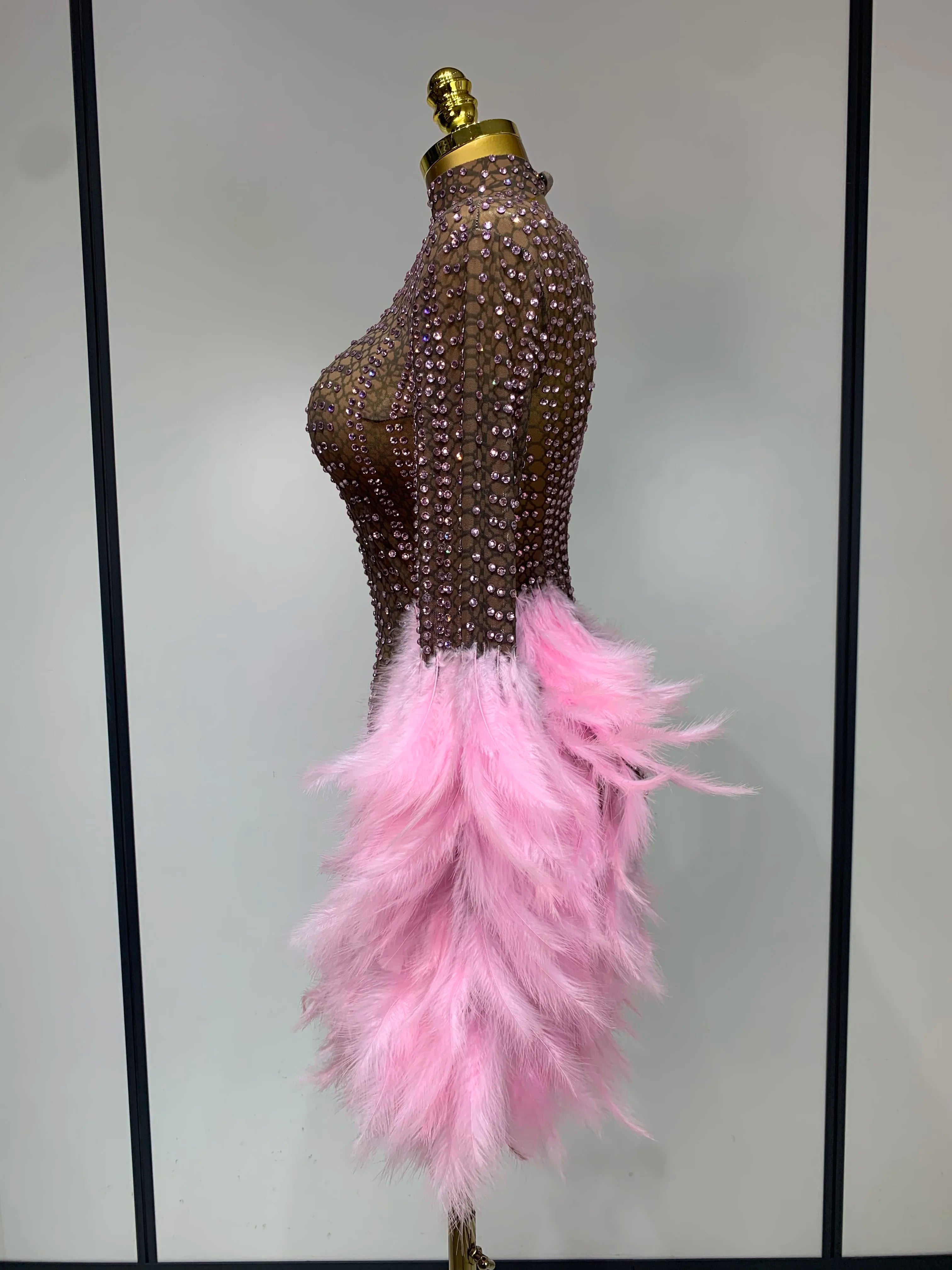 Sexy Flamingo Mesh Feathers Dress