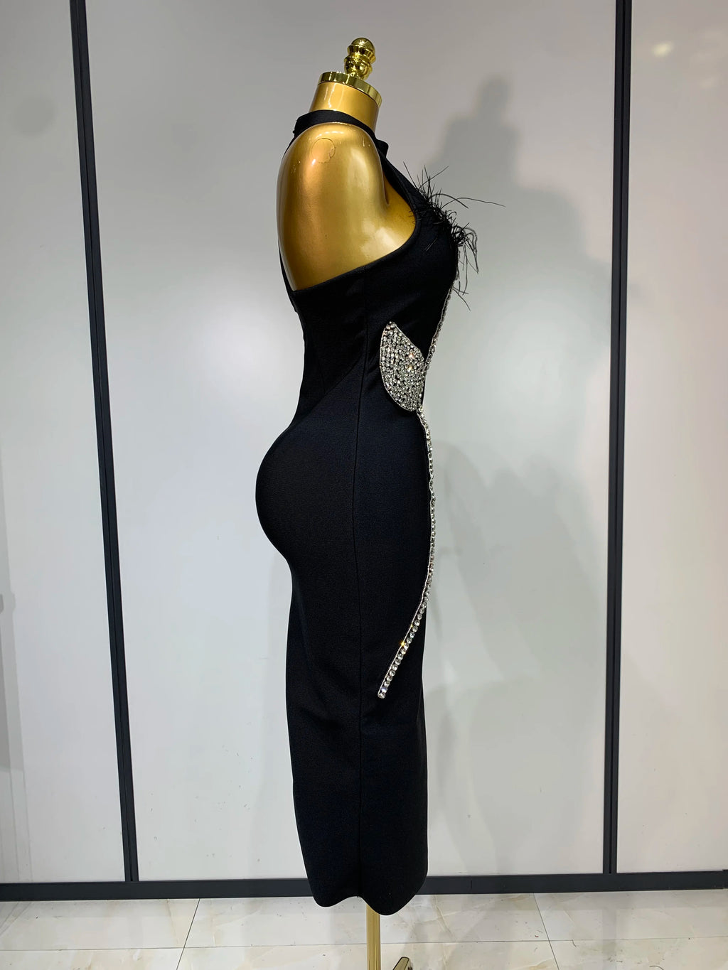 Regal Woman Dress