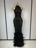 Sparkly Rhinestones Feather Sexy Mesh Long Dress