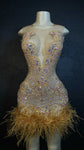 Gold Diamond Crystal Sparkly Feather Dress