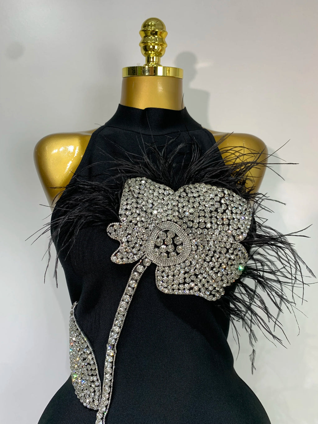 Regal Woman Dress