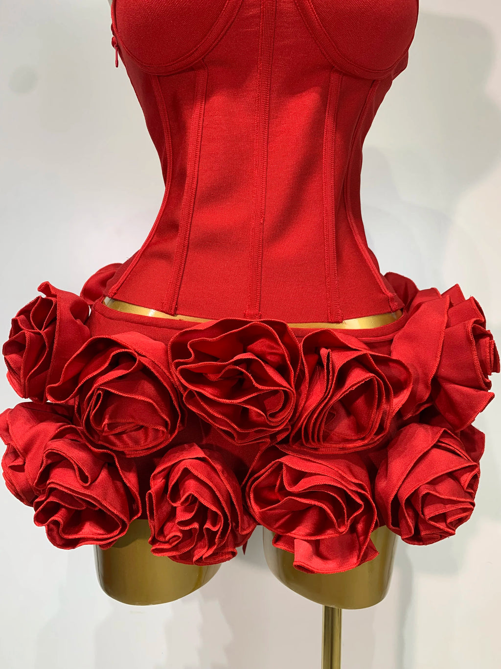 Rose Corset Two Piece Skirt Set