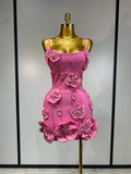 Let's Go To France Dress