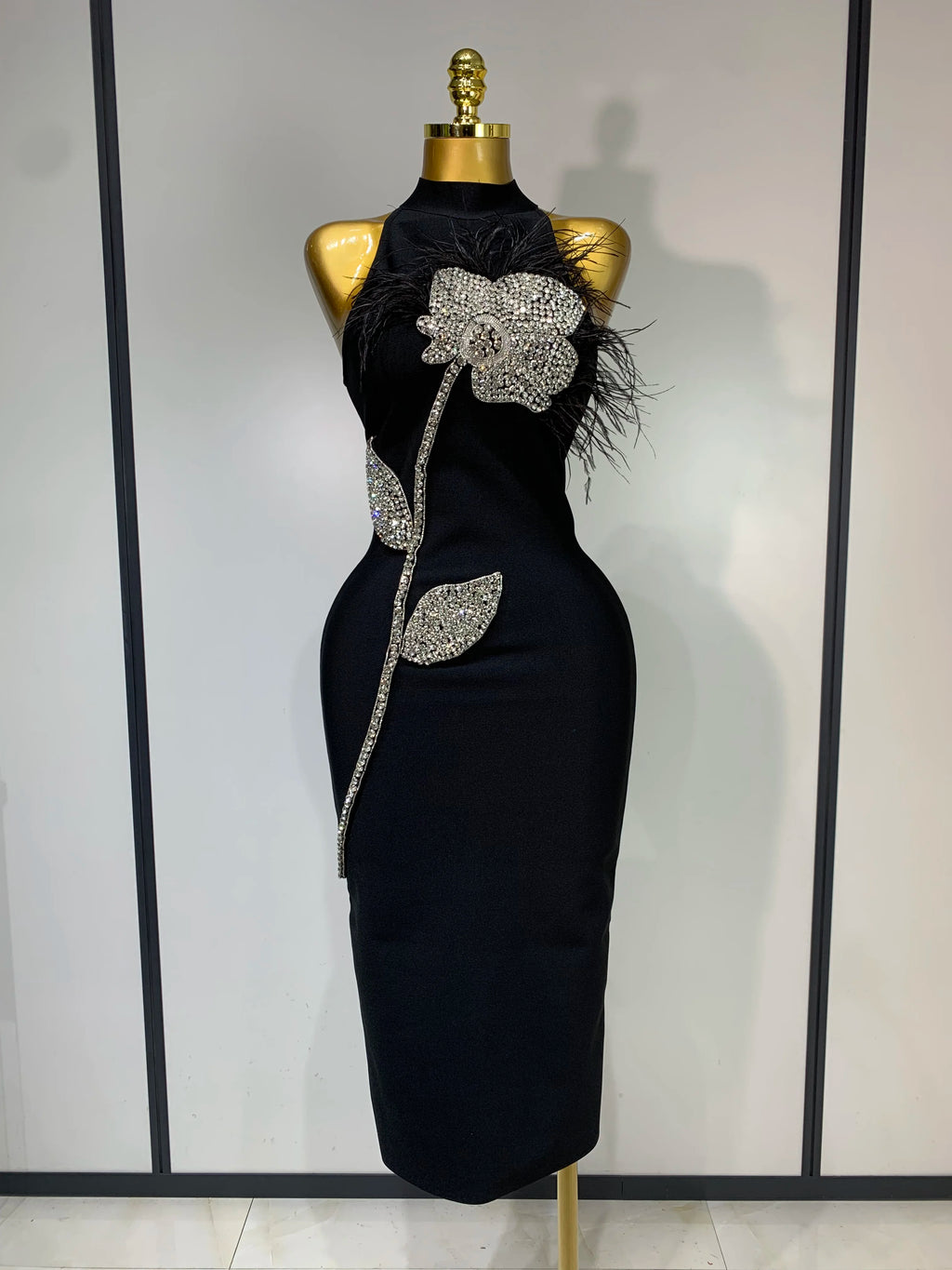 Regal Woman Dress