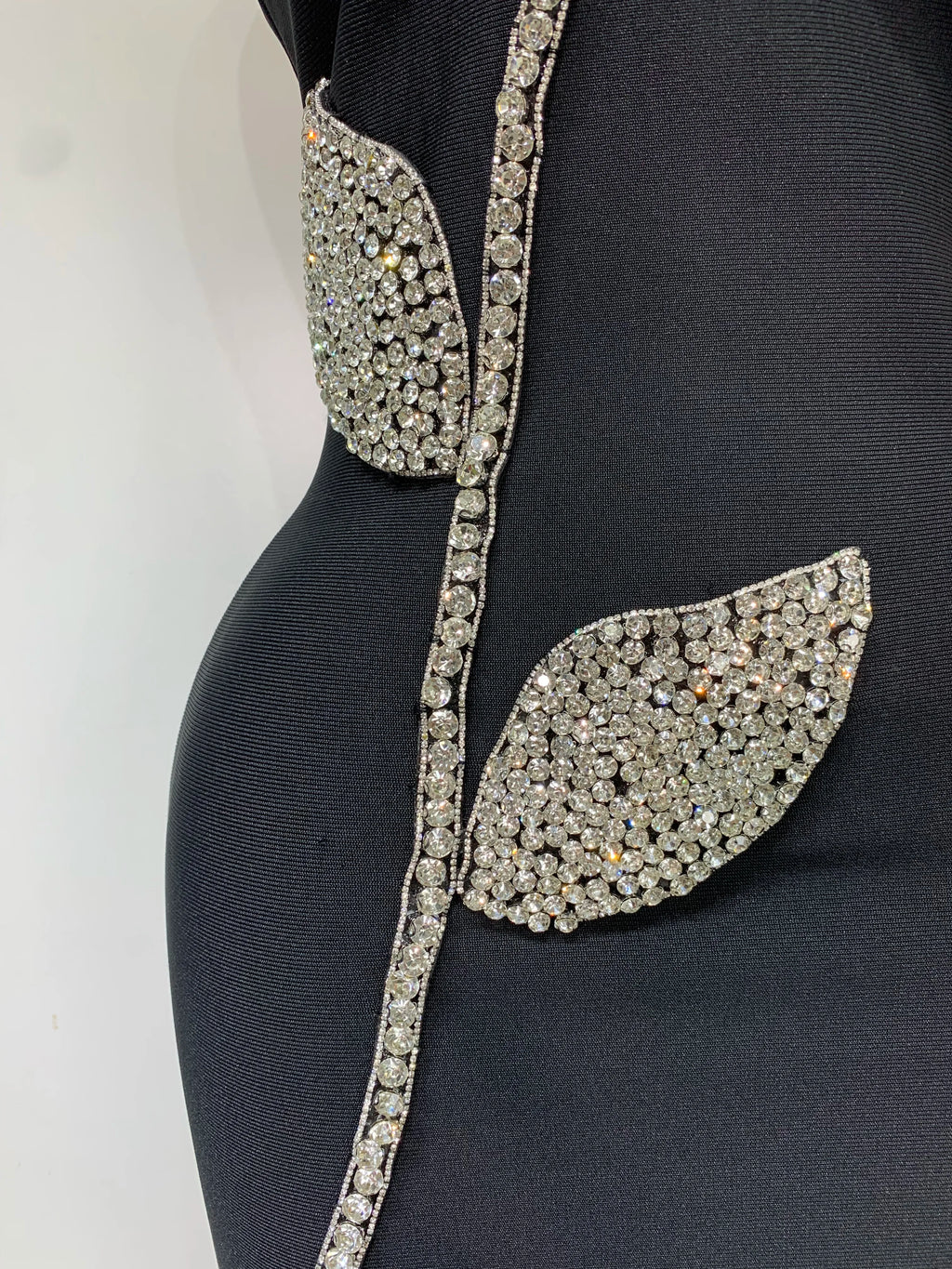 Regal Woman Dress