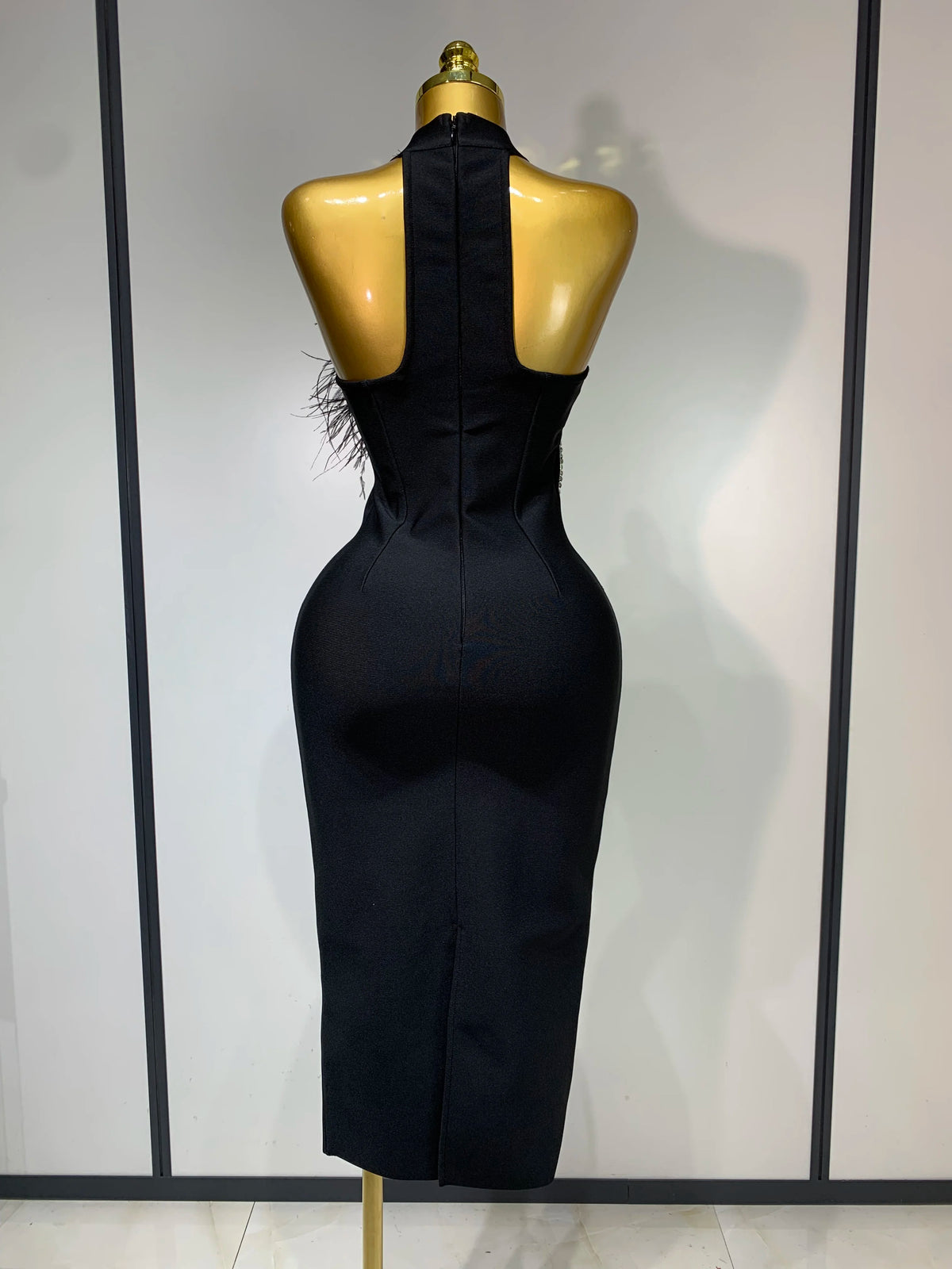 Regal Woman Dress