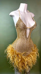 Gold Sparkly Feather Dress