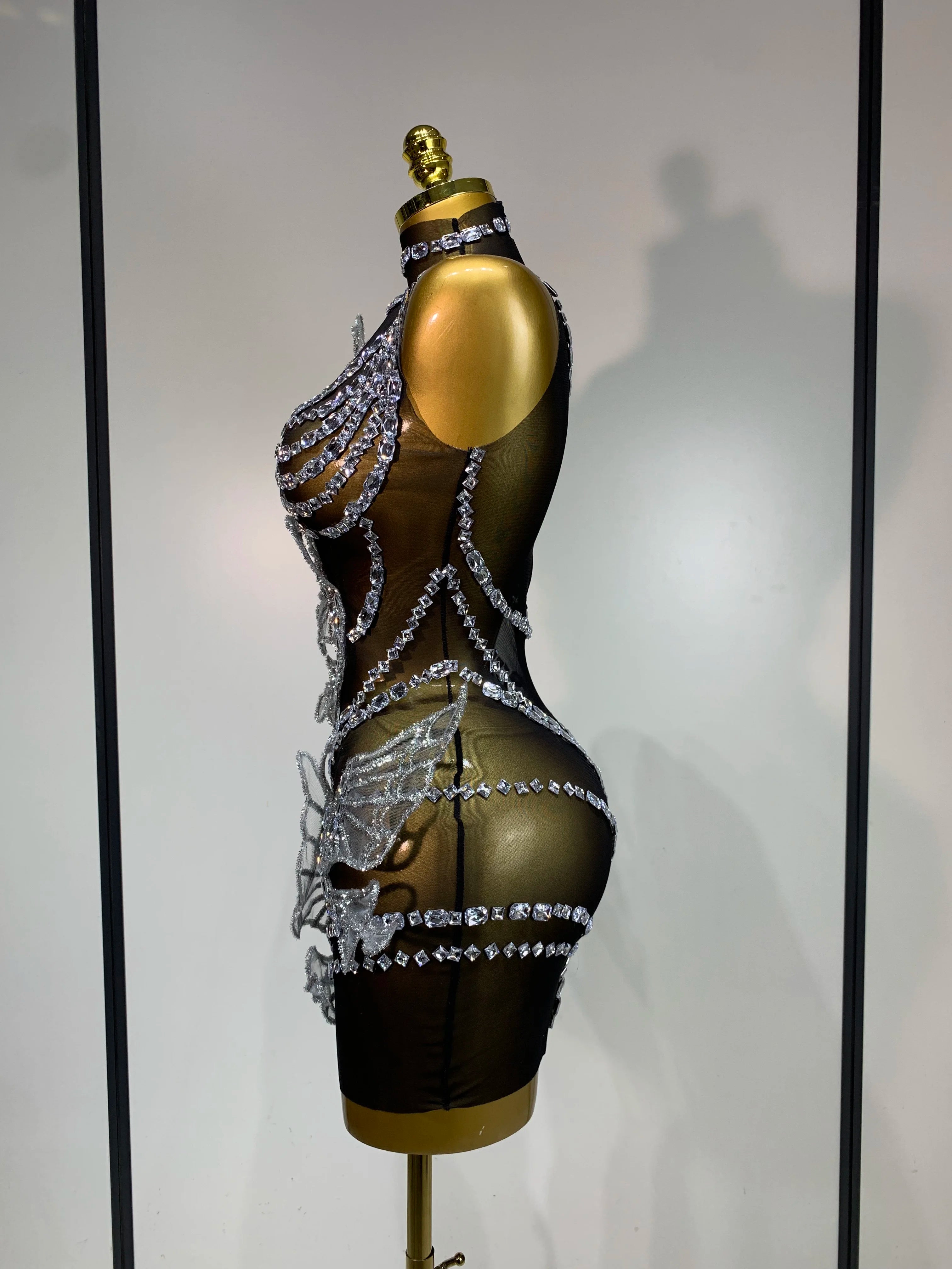 Butterfly Mesh Mini Dress