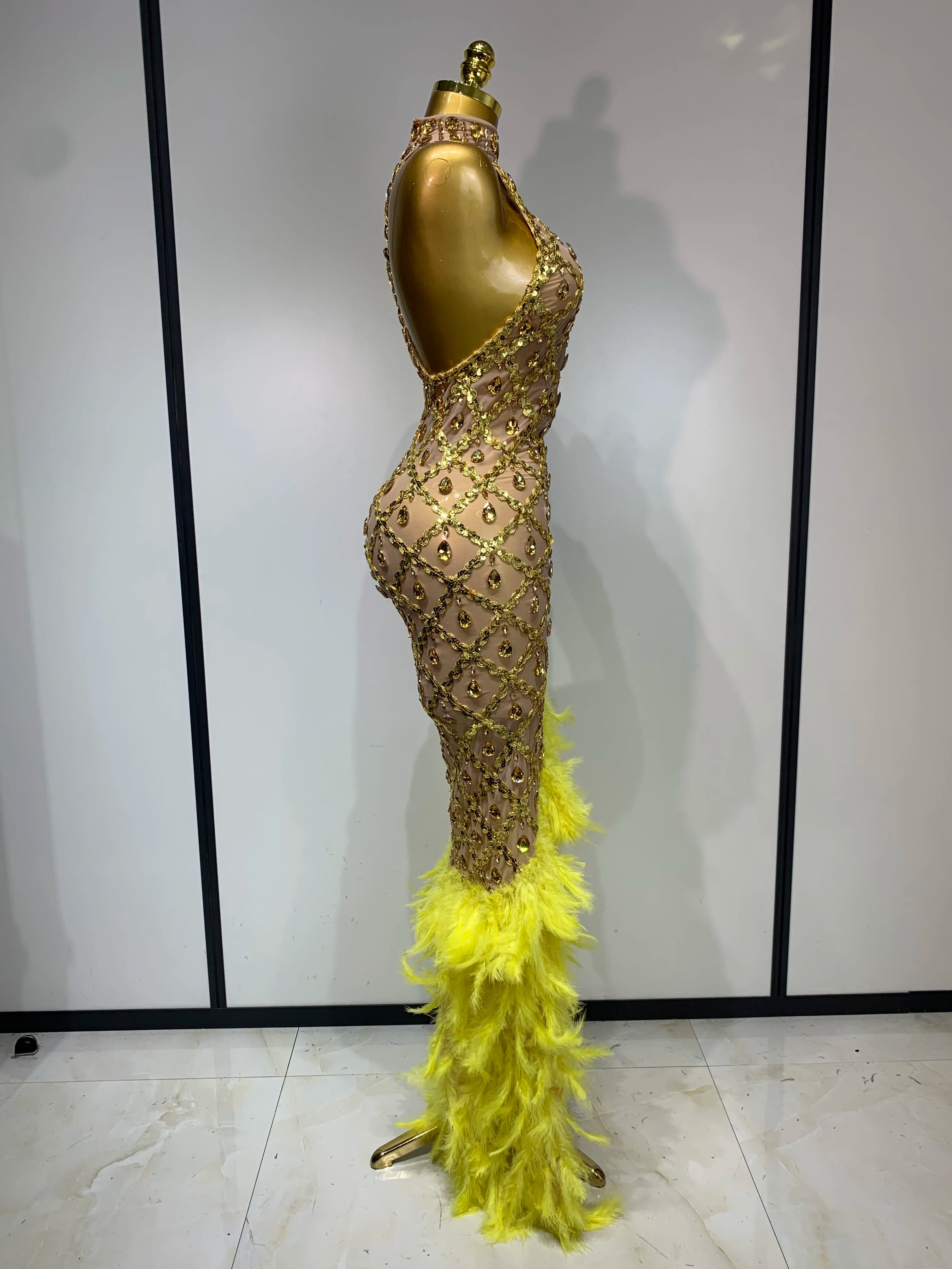 Sparkly Rhinestones Feather Sexy Mesh Long Dress
