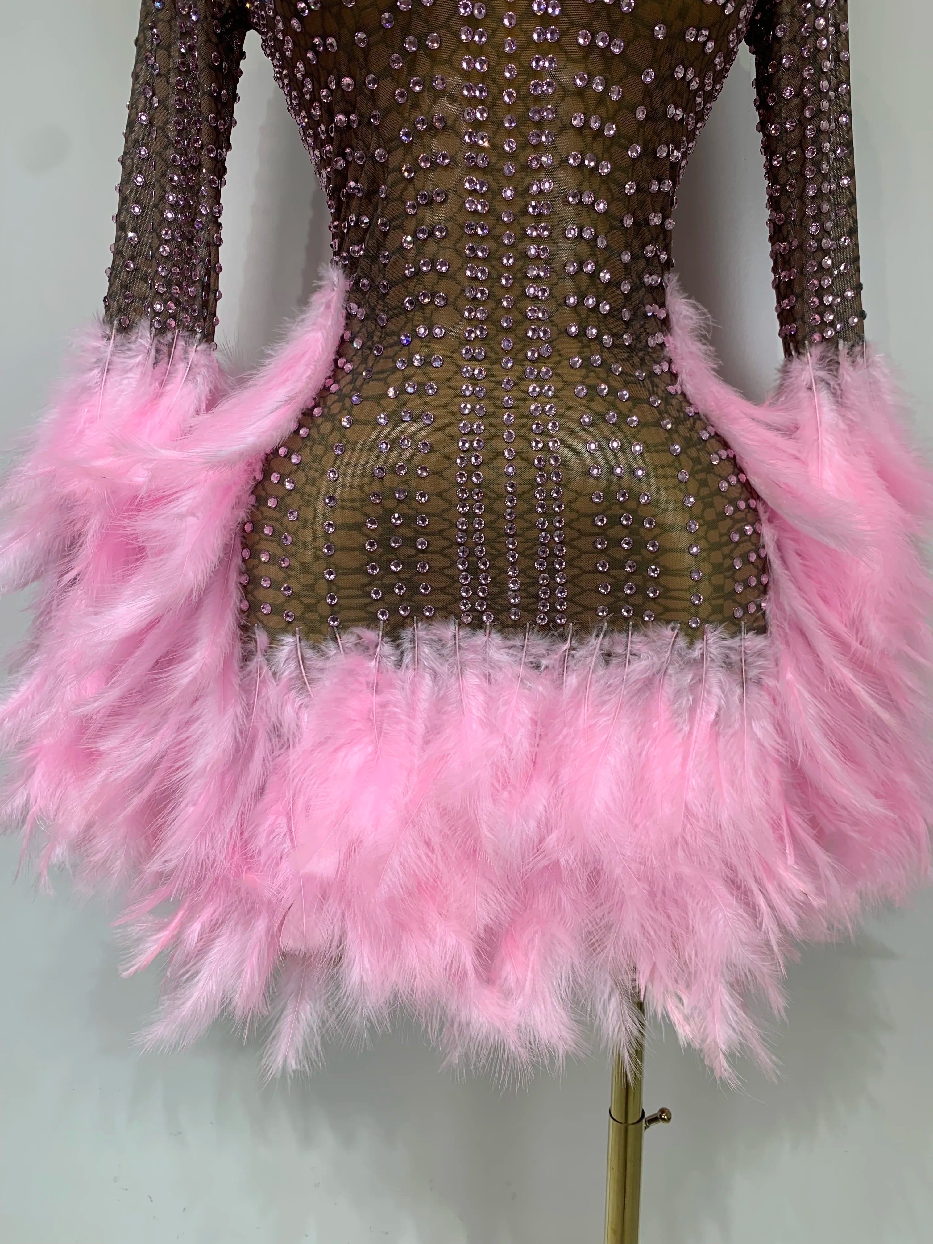 Sexy Flamingo Mesh Feathers Dress