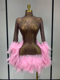 Sexy Flamingo Mesh Feathers Dress